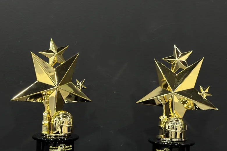 Ornate gold star 3D printed awards